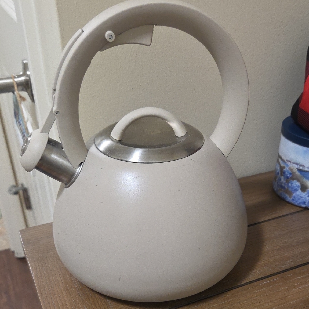 World Market Cream Stovetop Kettle with Stainless Accents